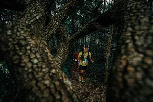 BIB: 
                            <button type="button" onclick="openModal(25679663)" class="btn btn-primary btn-sm float-right btn-popup" data-toggle="modal" data-target=".modal-high-quality">
                        <i class="fas fa-shopping-cart"></i> Add to Cart
                    </button>
                                            <button type="button" onclick="isThisMe(25679663, true)" class="btn btn-success btn-sm float-right btn-popup btn-isme hidden" data-toggle="tooltip" data-placement="bottom" title="นี่คือรูปของคุณใช่ไหม คลิกที่นี่เพื่อเอาเข้าอัลบั้ม">
                        <i class="fas fa-plus"></i> Add to album
                    </button>
                    <button type="button" onclick="isThisMe(25679663, false)" class="btn btn-warning btn-sm float-right btn-popup btn-isnotme hidden">
                        <i class="fas fa-ban"></i> Remove from album
                    </button>